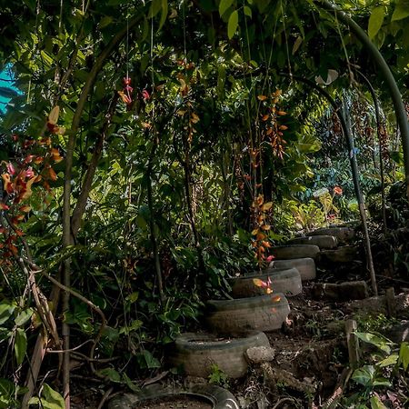 Secret Mountain Paradise Ella Exterior foto