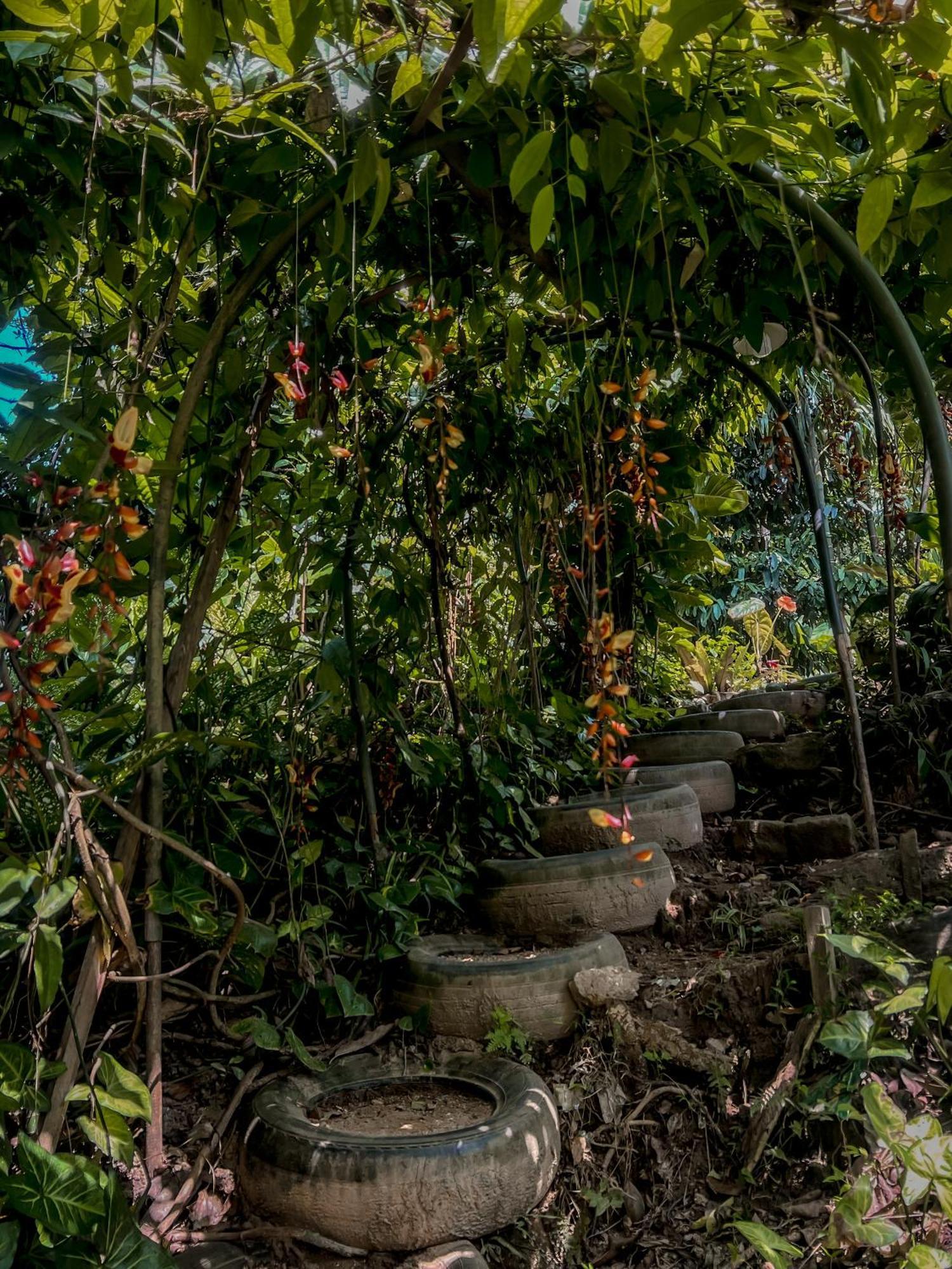 Secret Mountain Paradise Ella Exterior foto