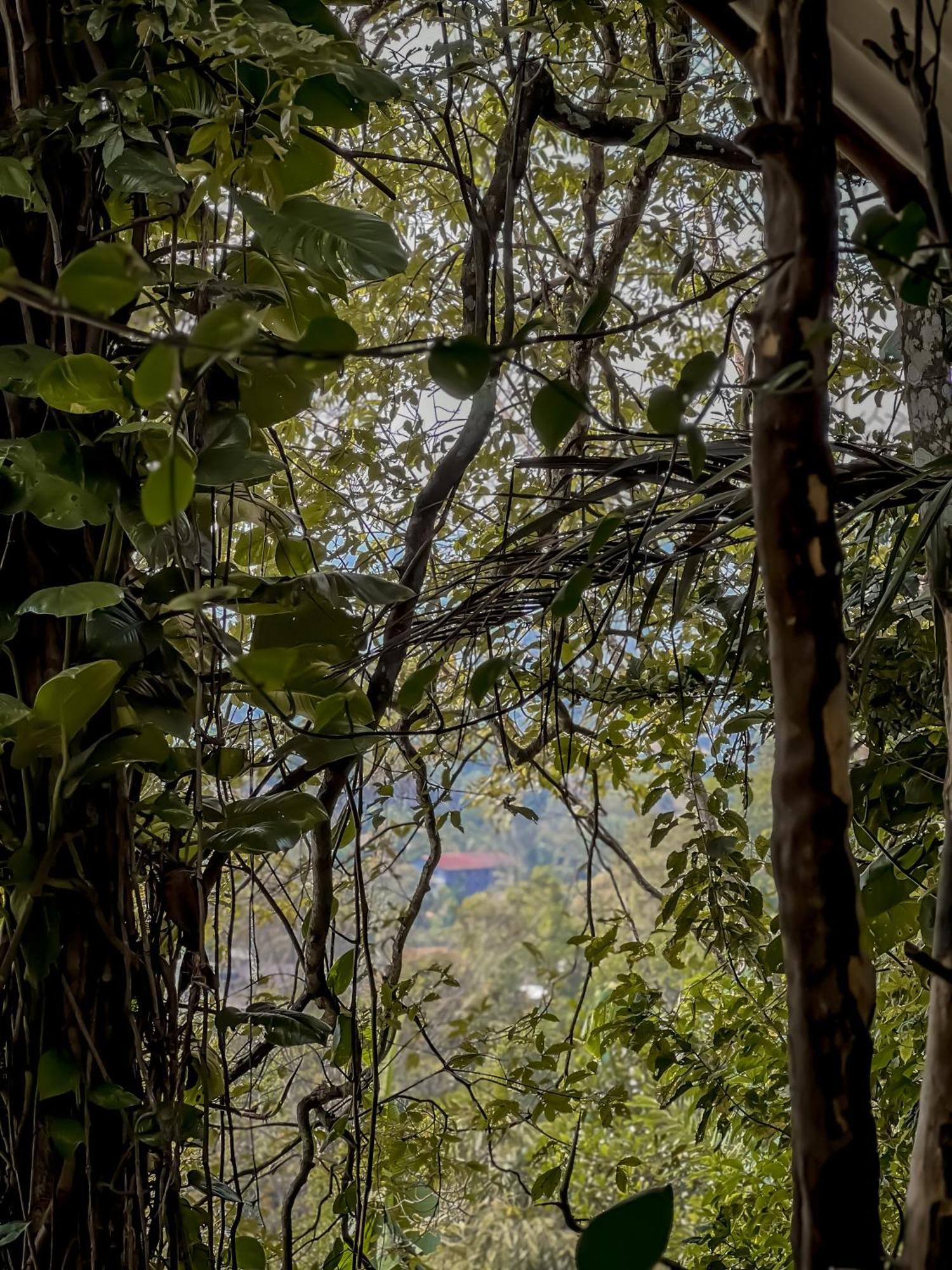 Secret Mountain Paradise Ella Exterior foto