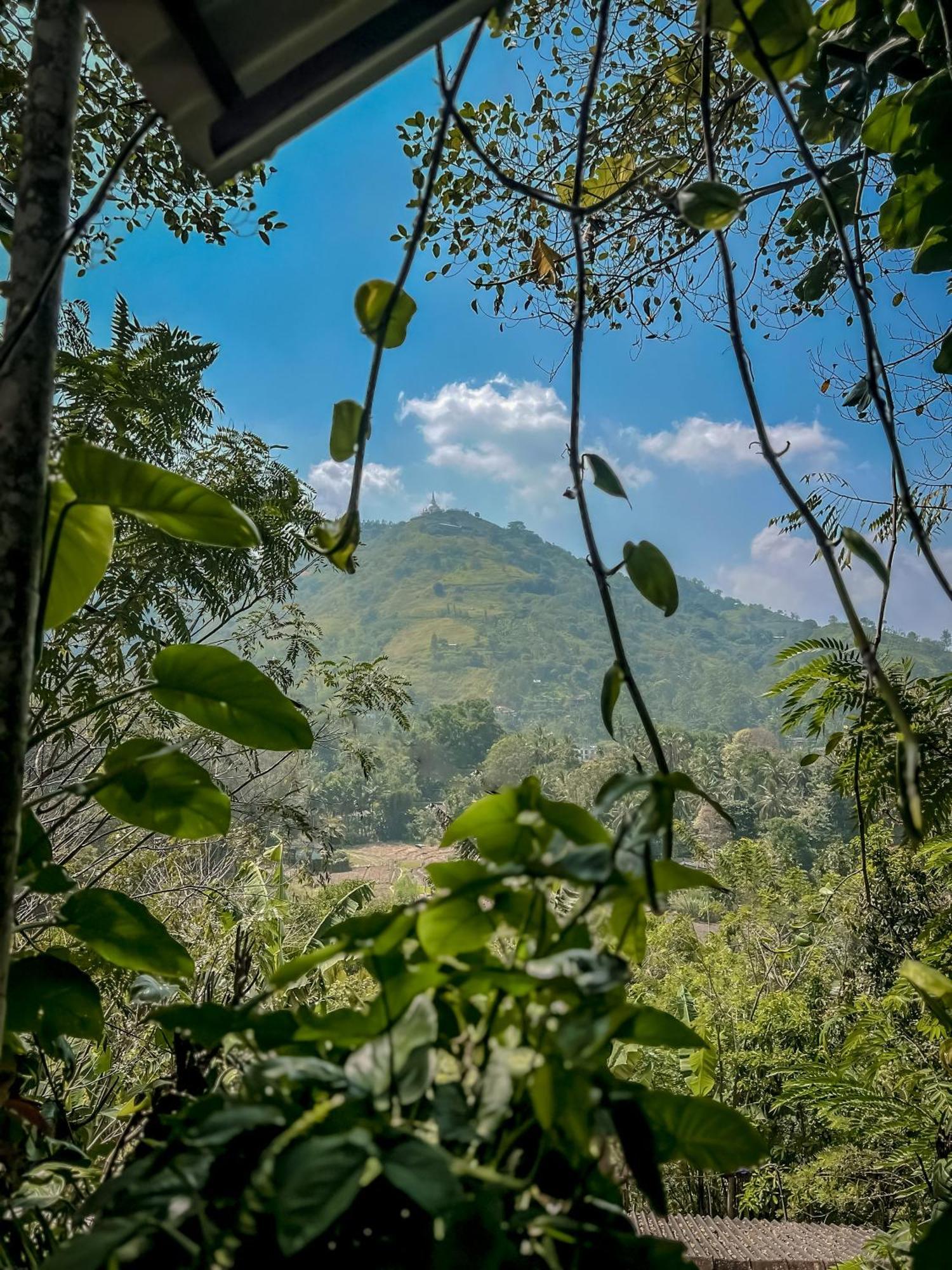 Secret Mountain Paradise Ella Exterior foto